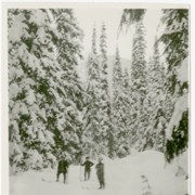 Cover image of On ski trip. Banff